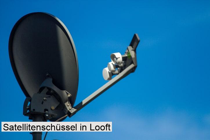 Satellitenschüssel in Looft